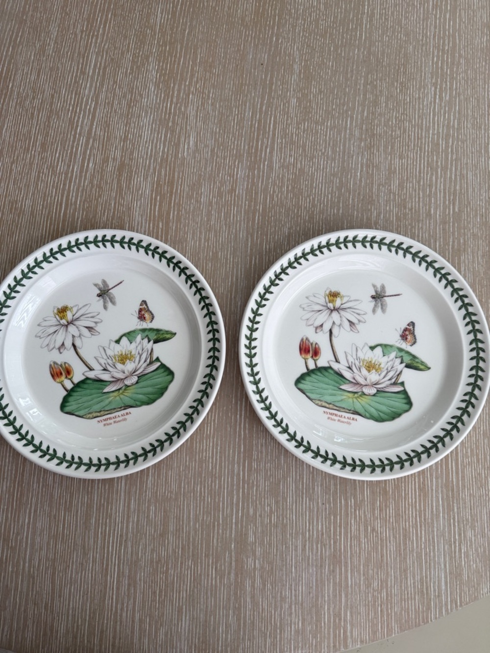 Botanic Garden Exotic Botanic Garden 10.5” Plate with White Water Lily Motif 2pc - Picture 2 of 12